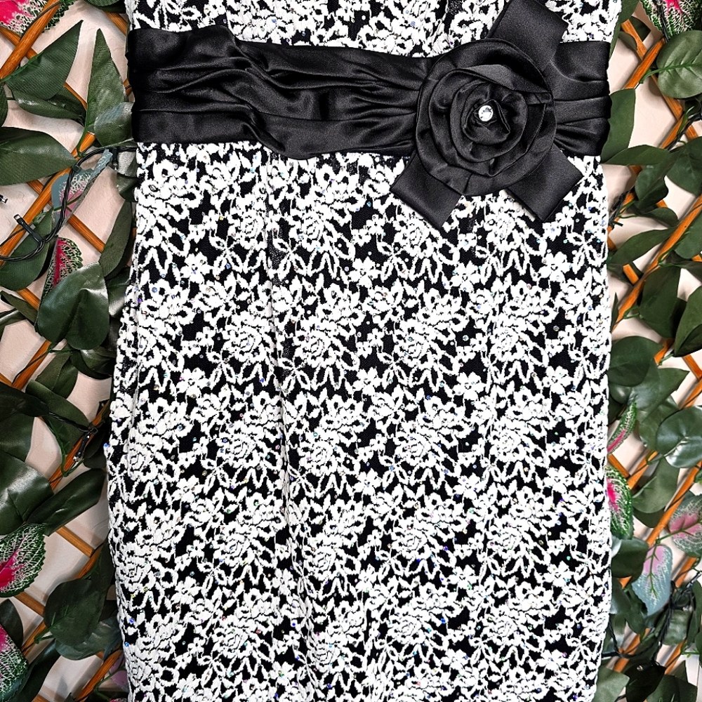 49) R&M RICHARDS Lace Dress Sz. 8 - Picture 3 of 10